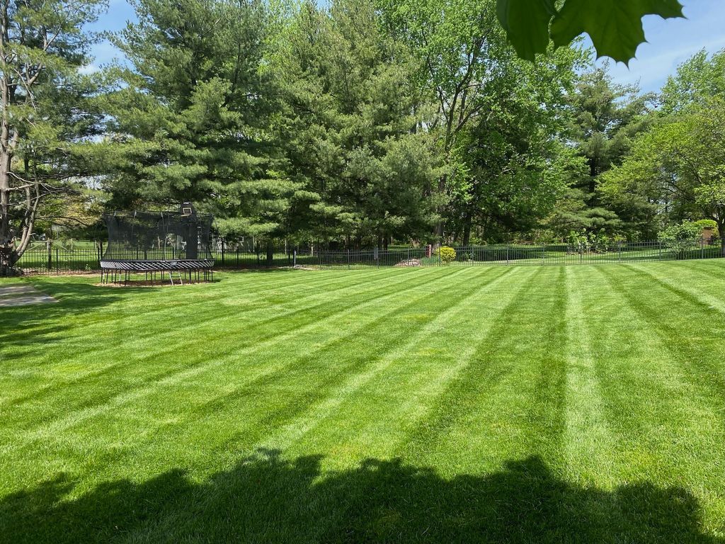 Sunny park lawn with striped grass, trees, and a black fence in the background