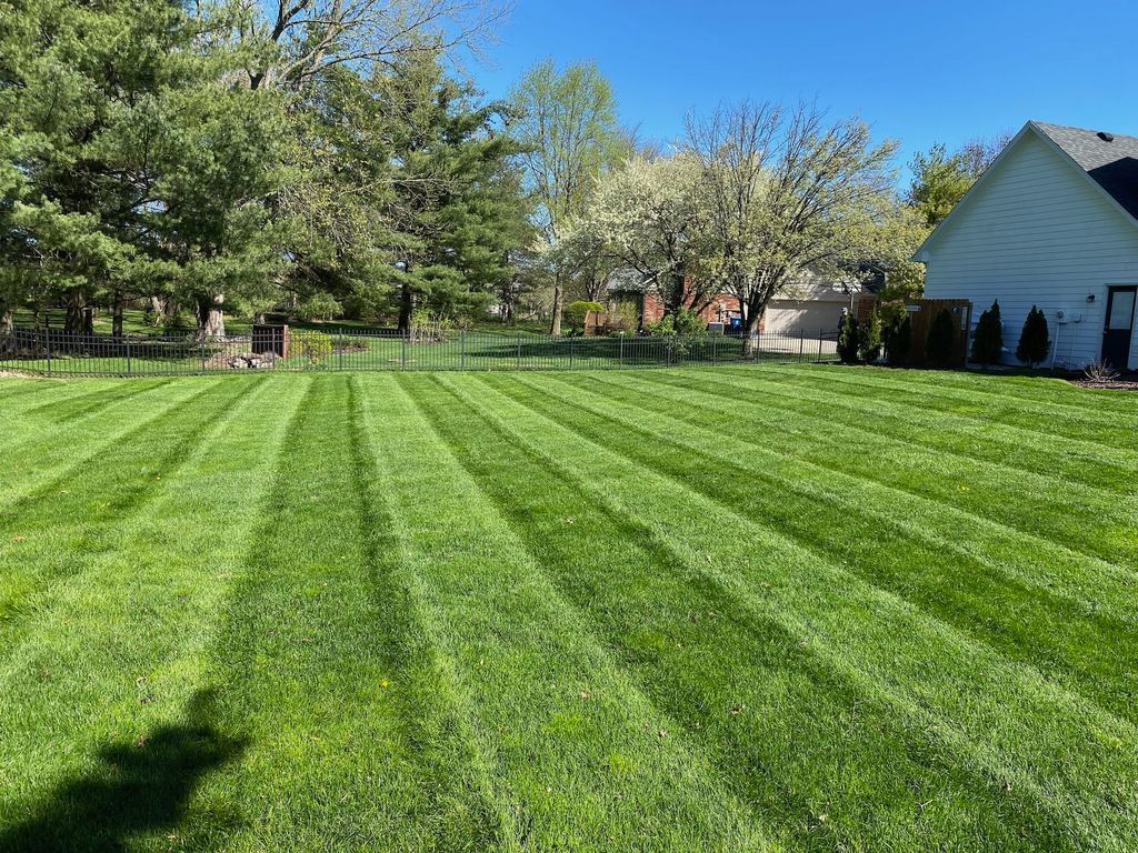 Freshly mowed green lawn with striped lines, trees, and a house under a clear blue sky