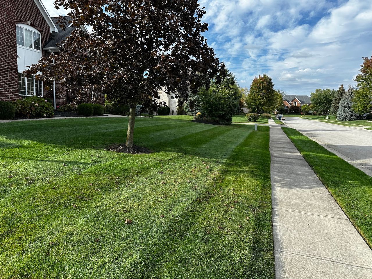 Suburban sidewalk beside a manicured lawn, trees, and brick houses under a partly cloudy sky
