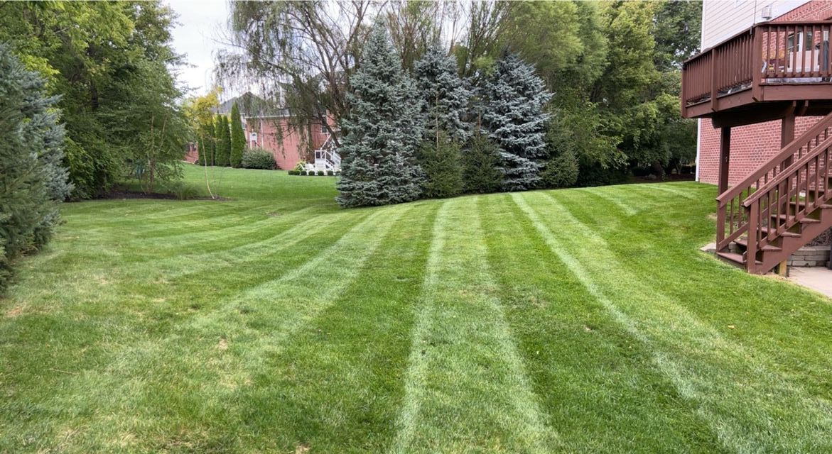 Green striped lawn beside a wooden deck and stairs, with trees and shrubs in the background.