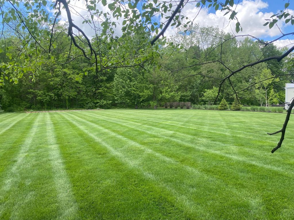 Freshly mowed green lawn with trees and blue sky in the background