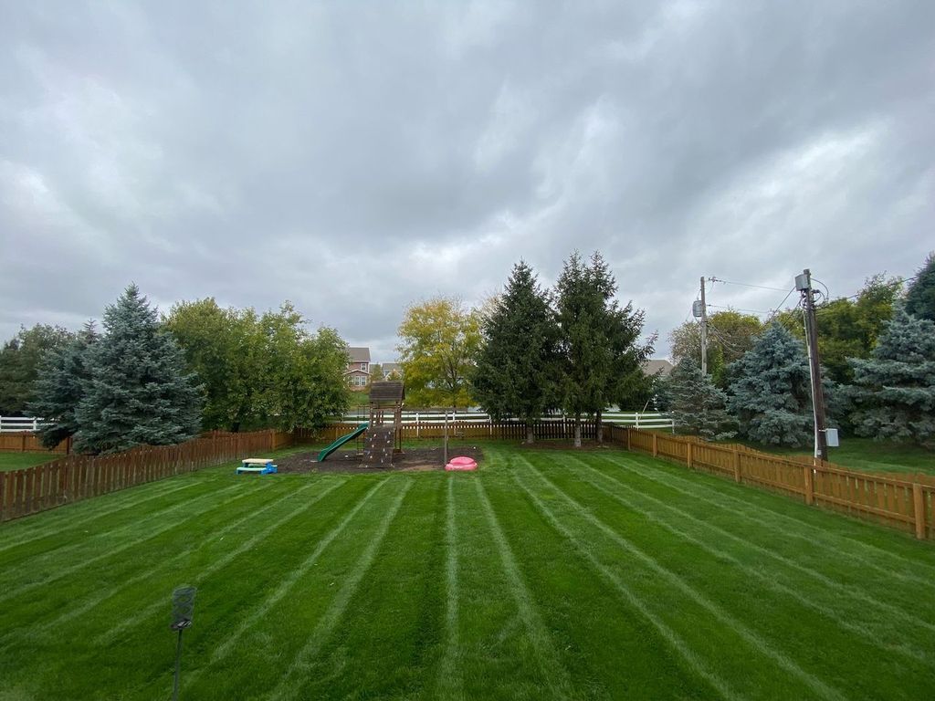 Backyard lawn with striped grass, wooden fence, trees, and a cloudy sky over a trampoline set up in the center.