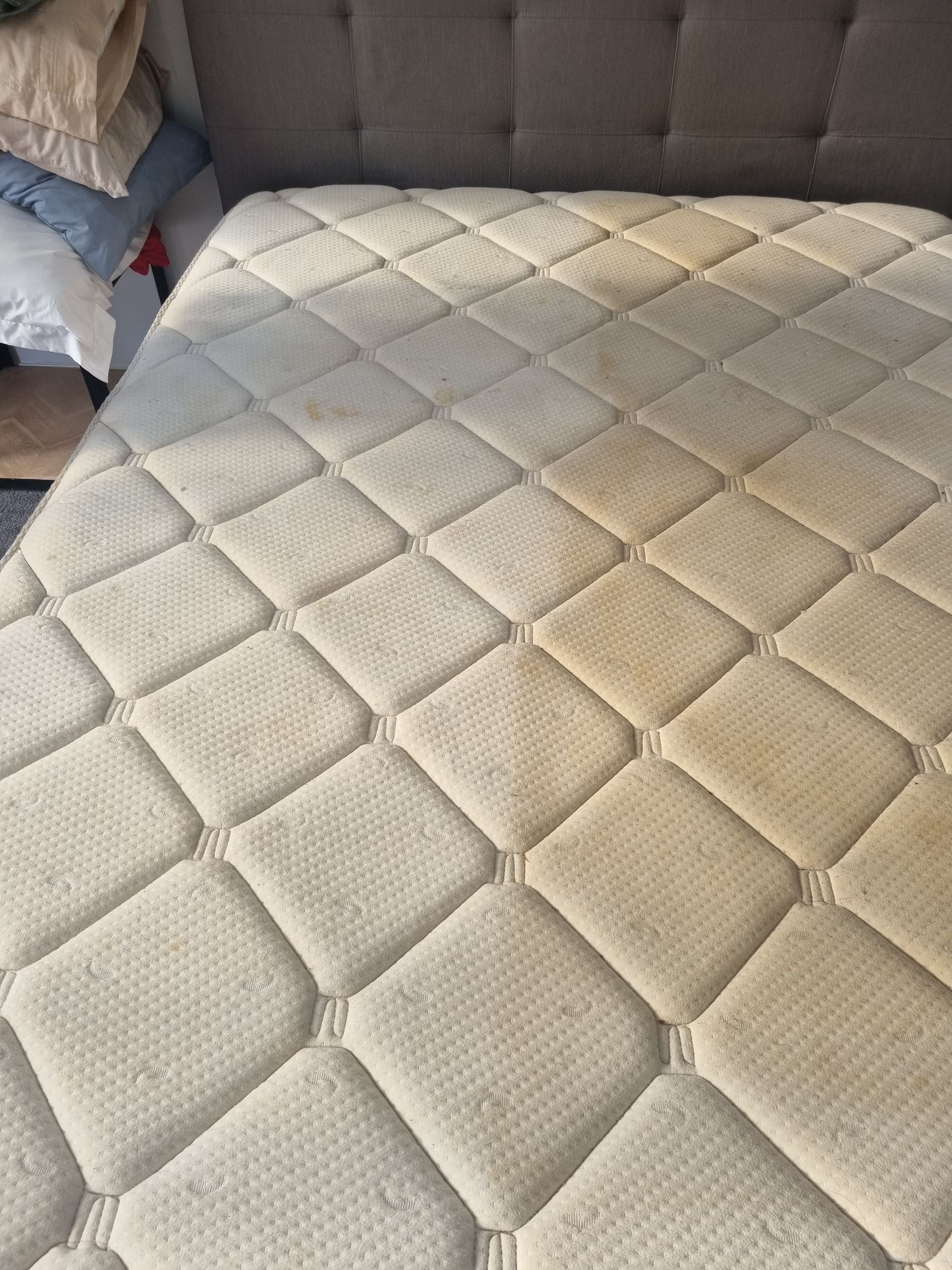 Mattress in the process of being cleaned — Pinnacle Carpet & Upholstery Cleaning In Central Coast, NSW