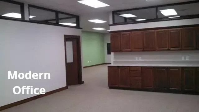 Empty modern office with beige carpet, fluorescent ceiling lights, and dark wood cabinets.