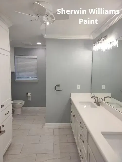 Bright gray bathroom with white vanity, mirror, tub, and toilet; Sherwin-Williams Paint text at top.