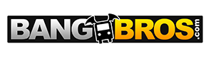 Bang Bros logo on a black rectangle,