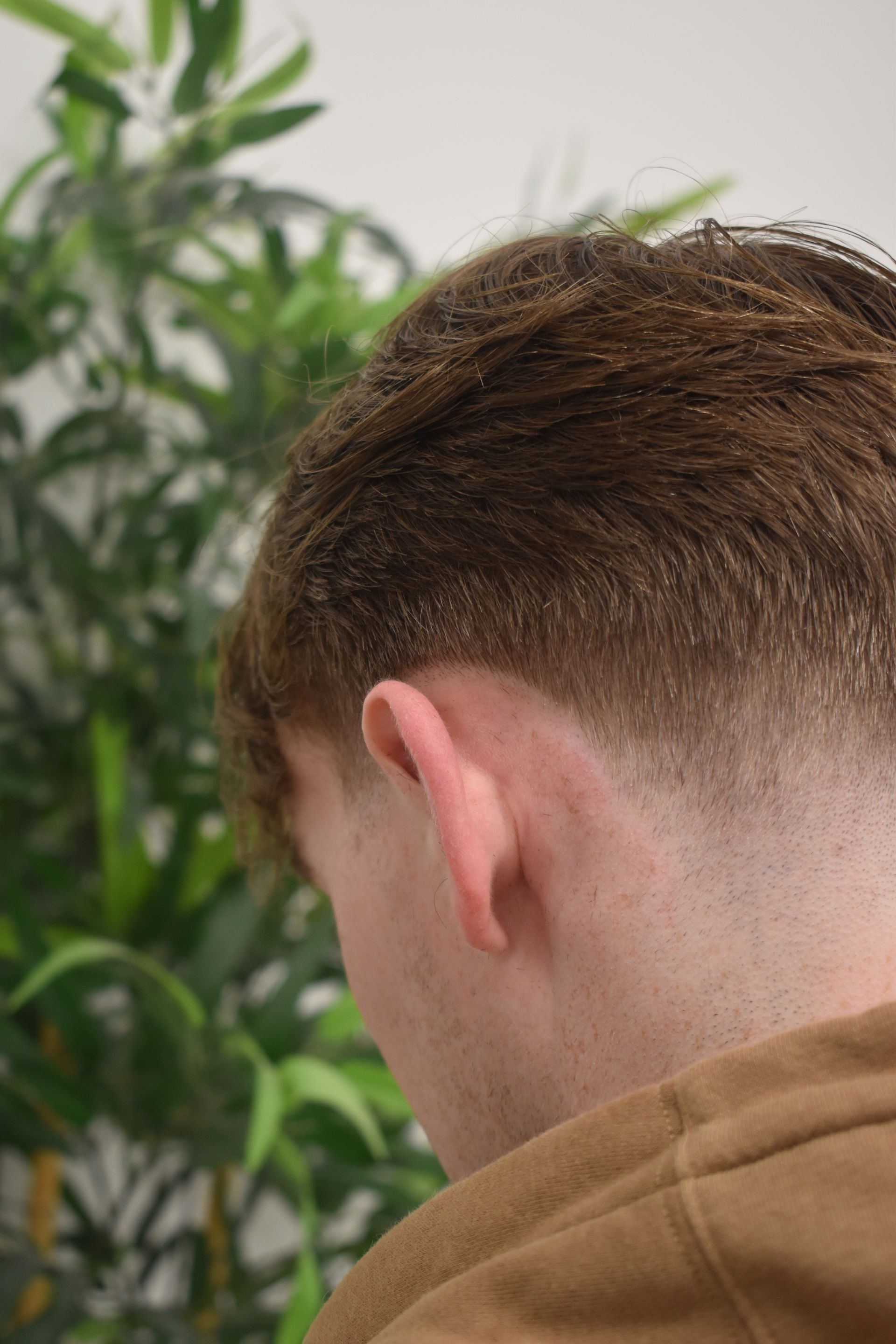 Man's head and neck with a faded haircut, brown hair against white skin. Green plant in the background.