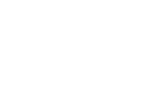 BAH GROUP LOGO