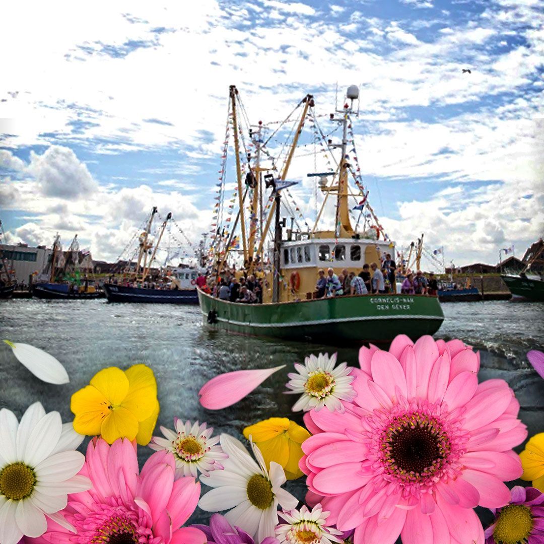 Flora Vlootschouw Den Oever