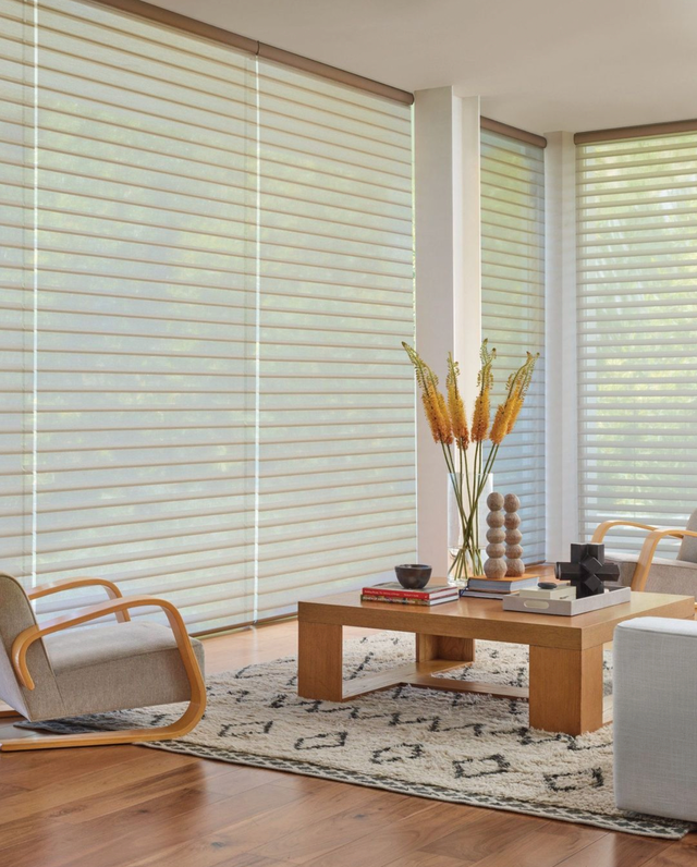 Hunter Douglas Silhouette® Sheer Shades near Atlantic Beach, North Carolina (NC)