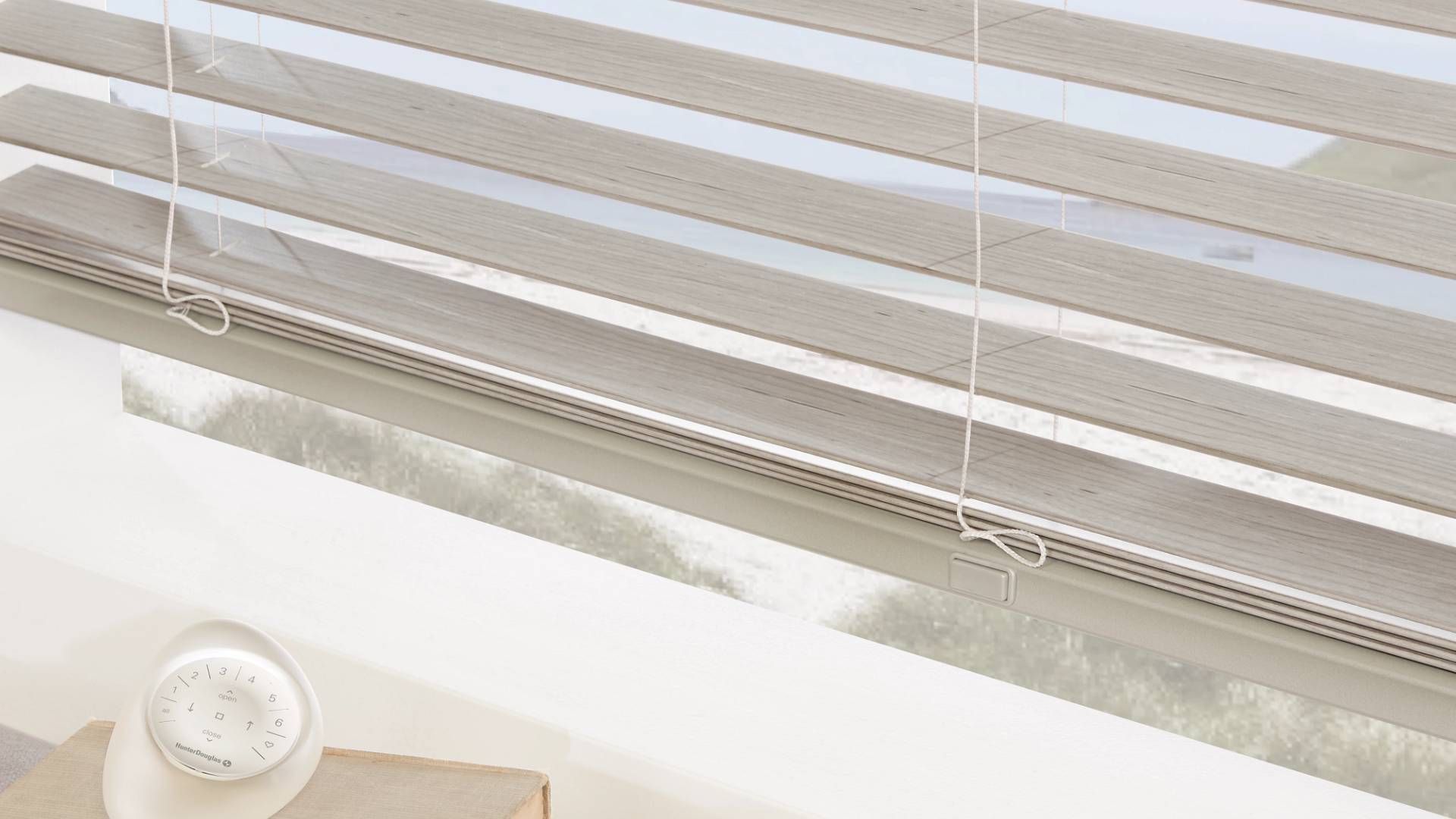 Hunter Douglas EverWood® Faux Wood Blinds near Atlantic Beach, North Carolina (NC)