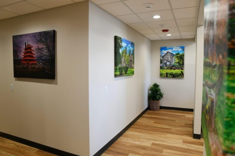 A hallway with paintings on the wall and a plant in a pot.