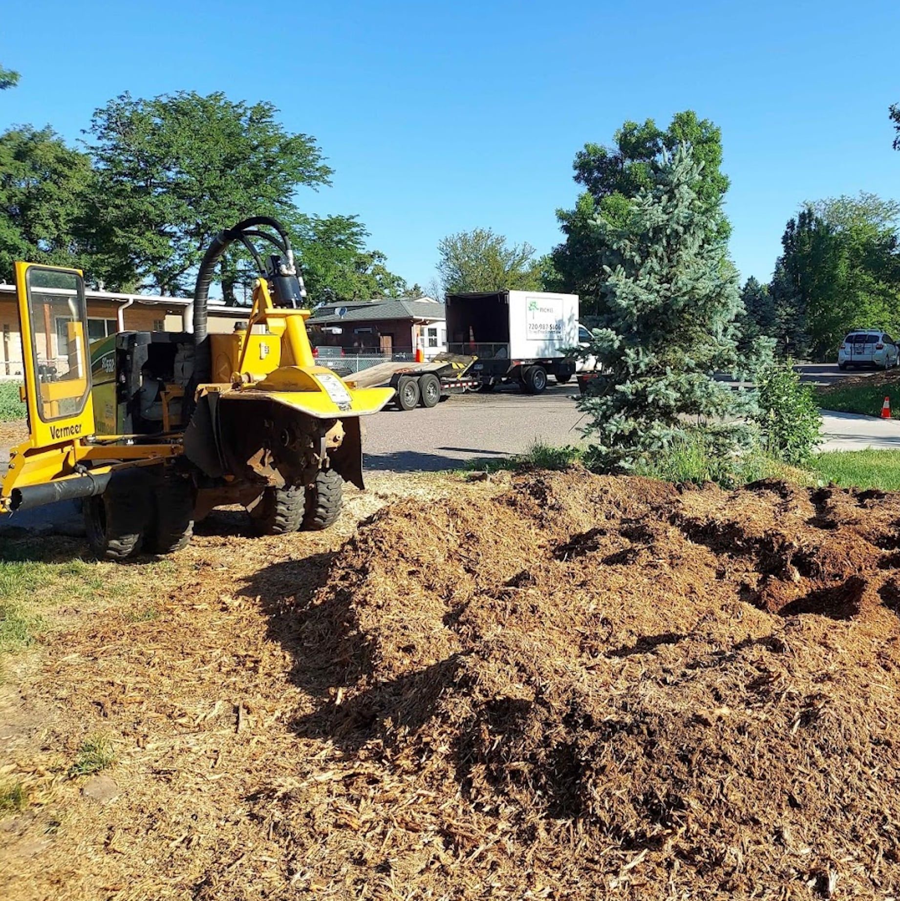 Tree Services in Centennial Co - Richis Tree Service LLC