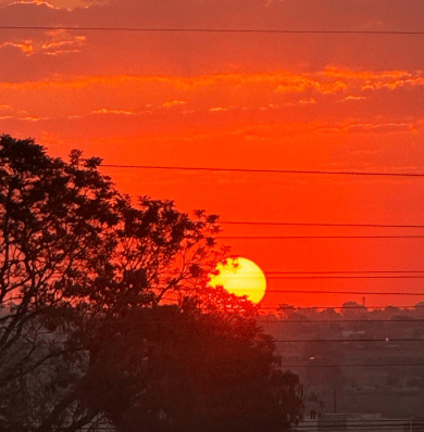 Red-orange sunset with silhouetted trees and power lines