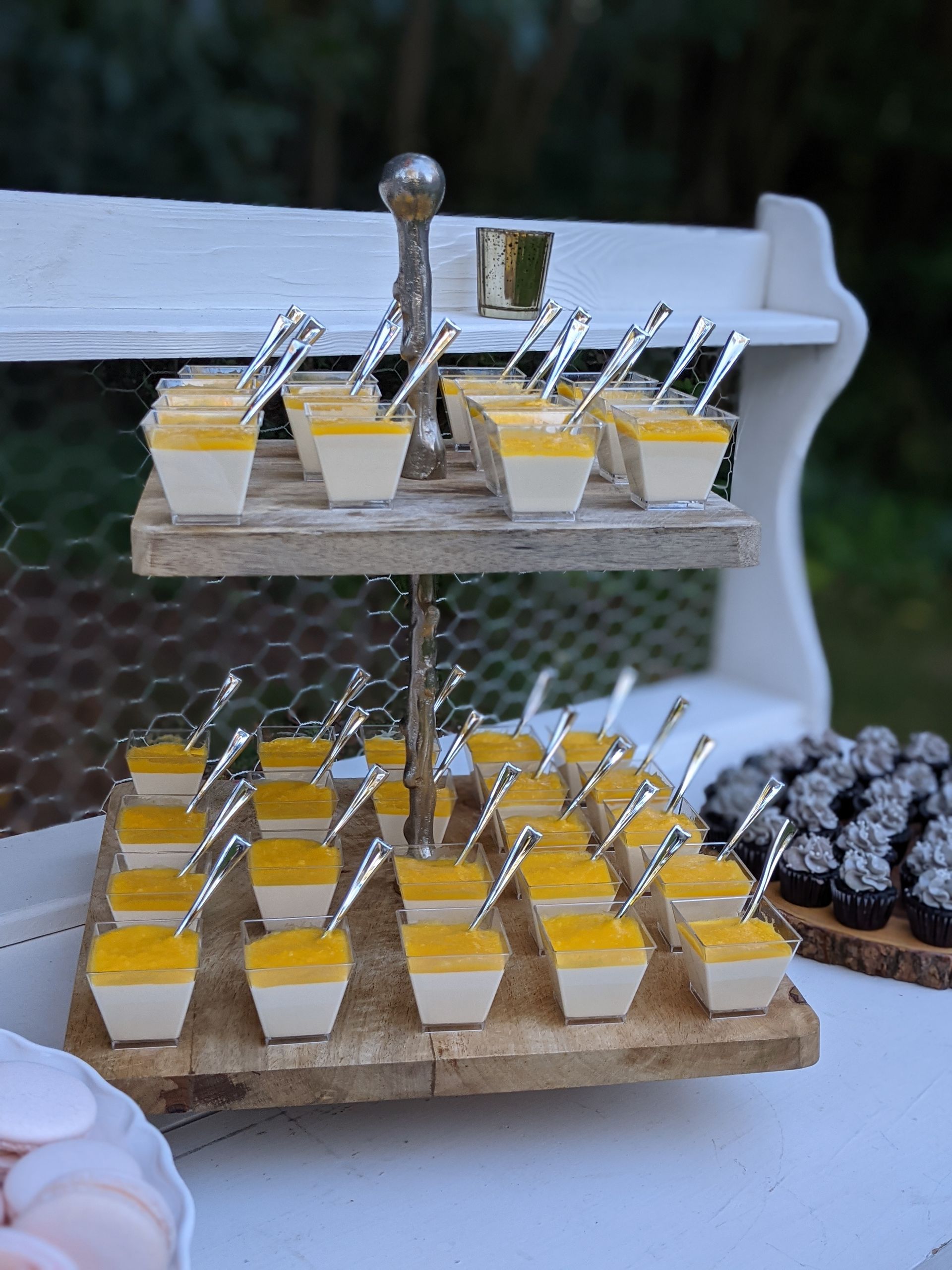 Panna Cotta Cups