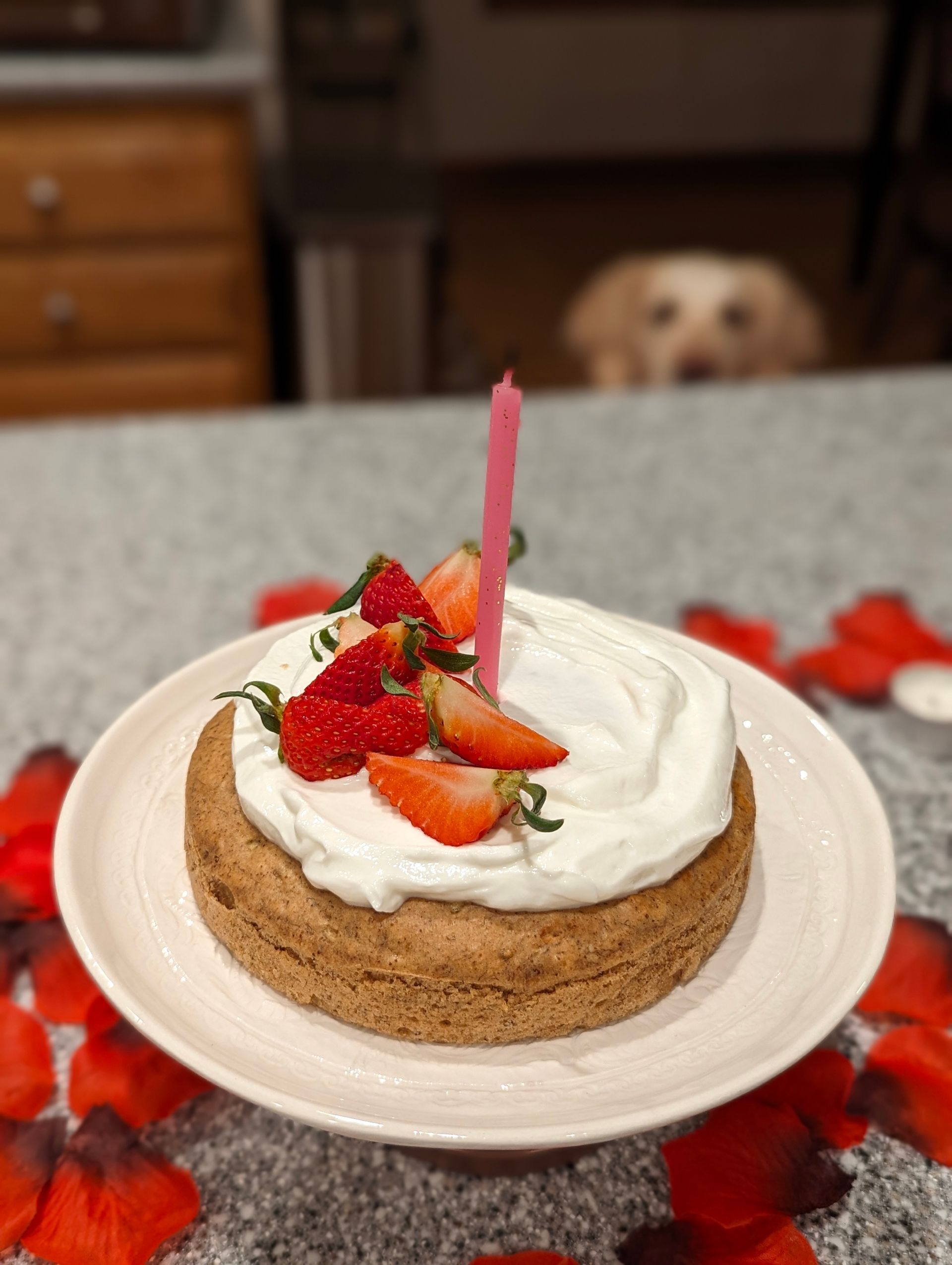 Doggie Birthday Cake