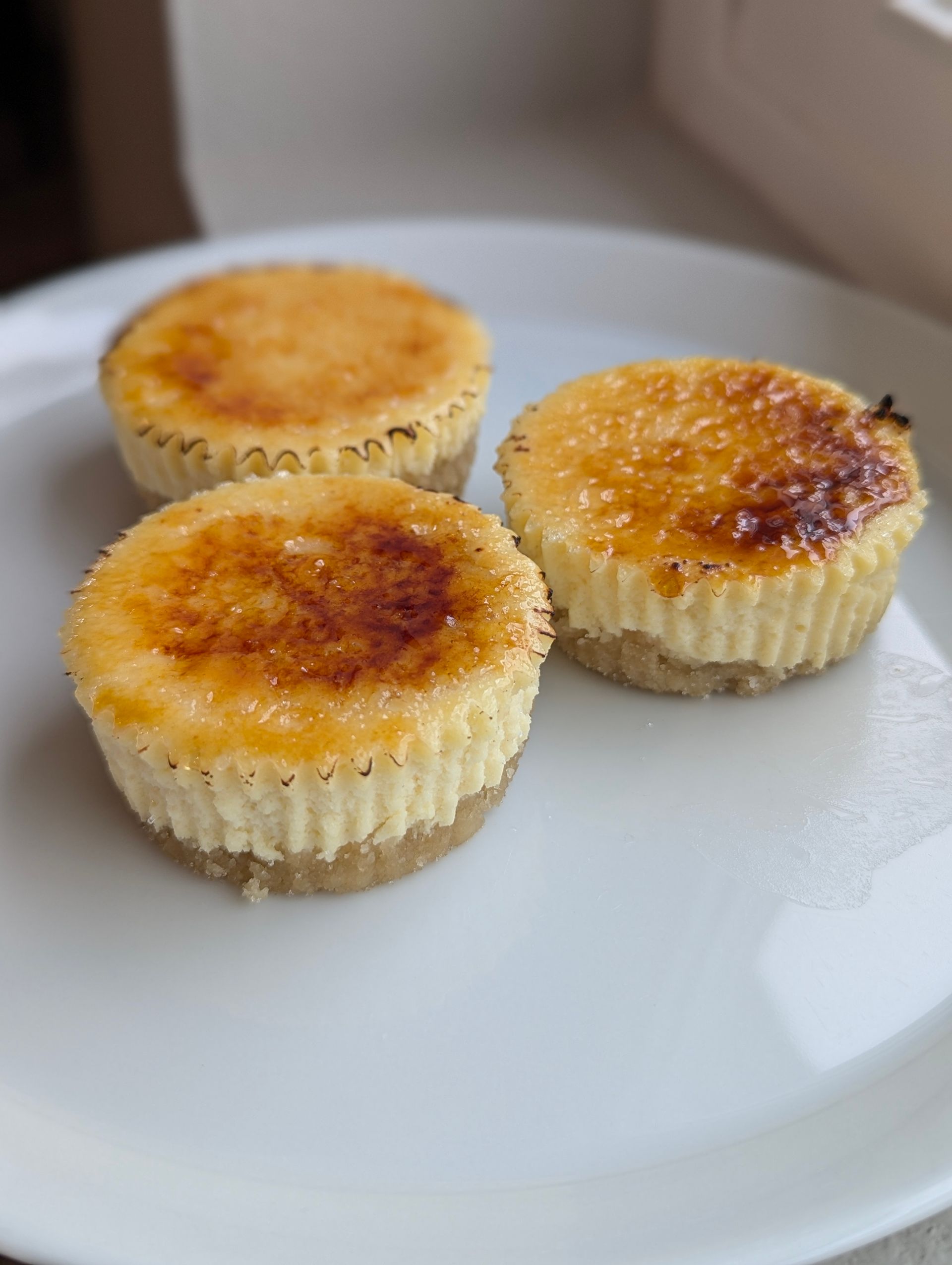 Creme Brûlée Cheesecake Bars