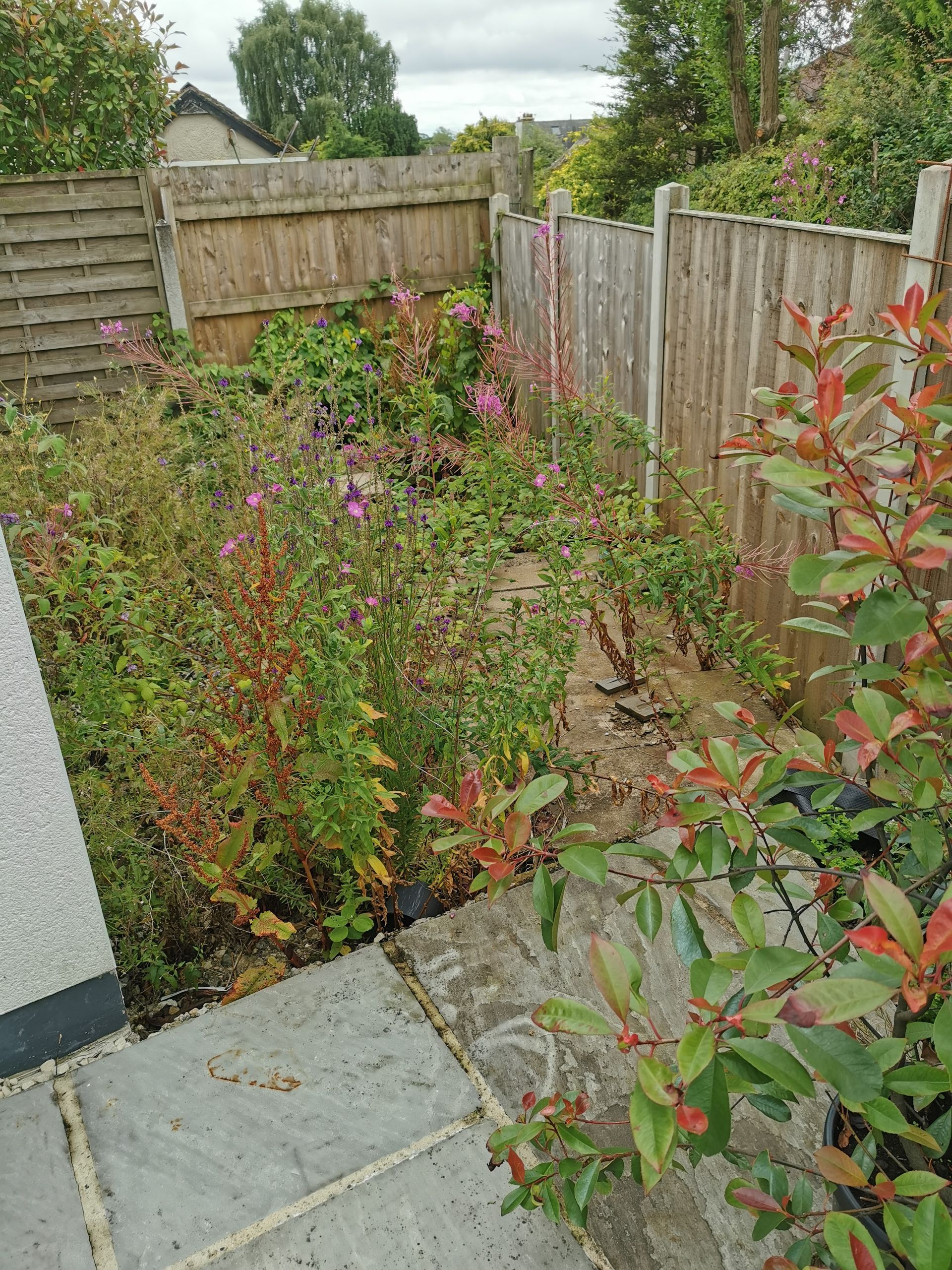 Landscaping