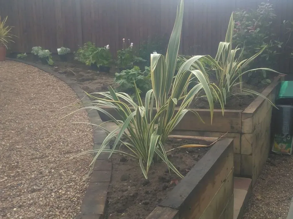 Landscaping