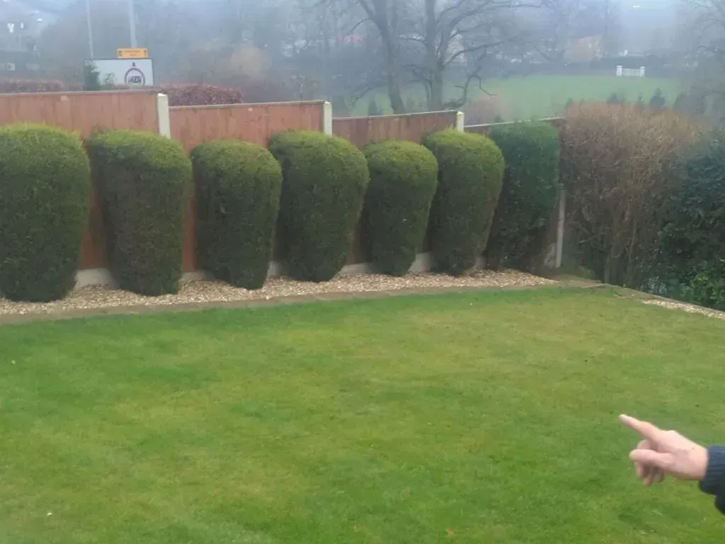 Landscaping