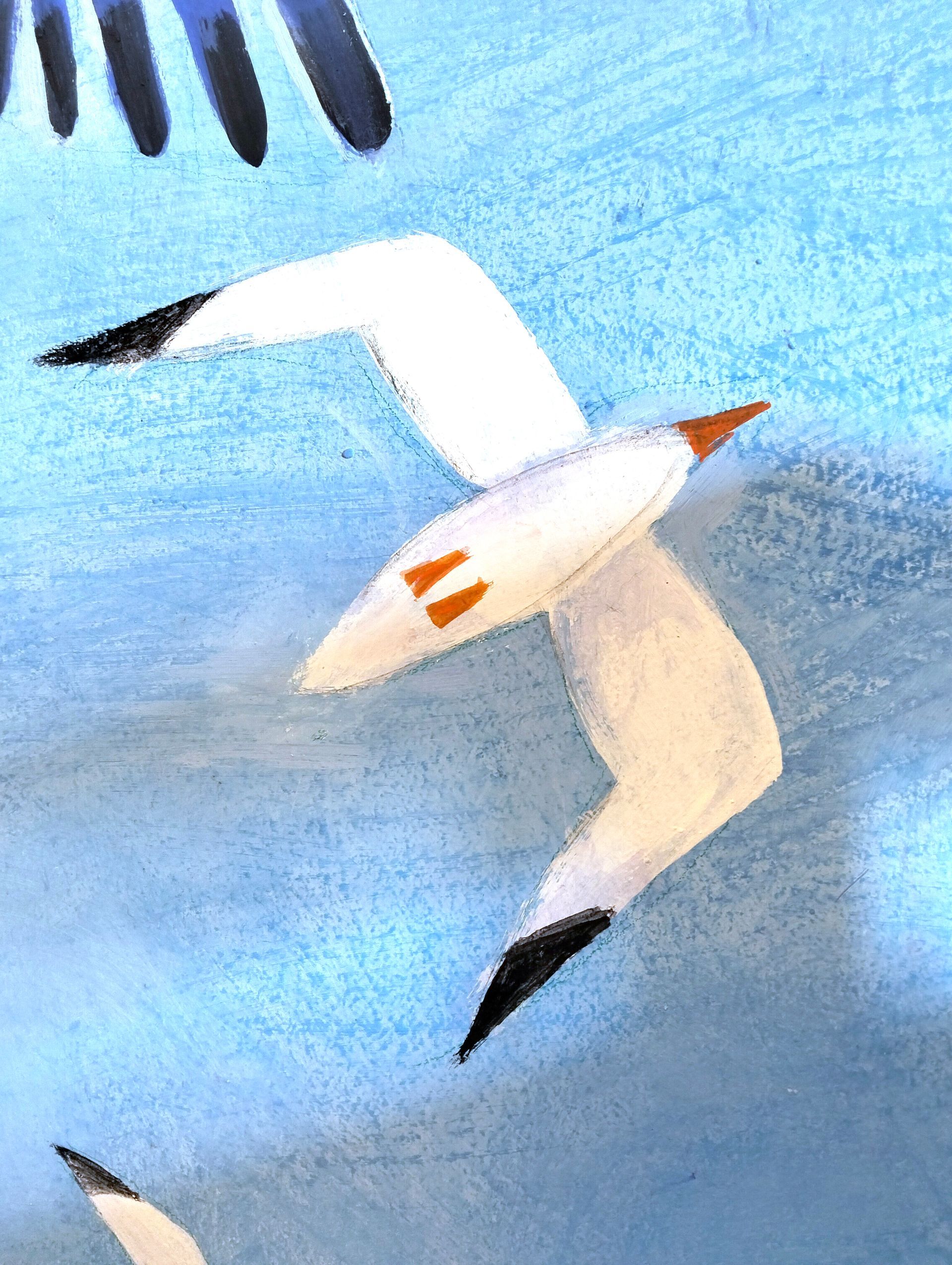 Uccello marino bianco e arancione che plana sull'acqua blu con le ali spiegate.