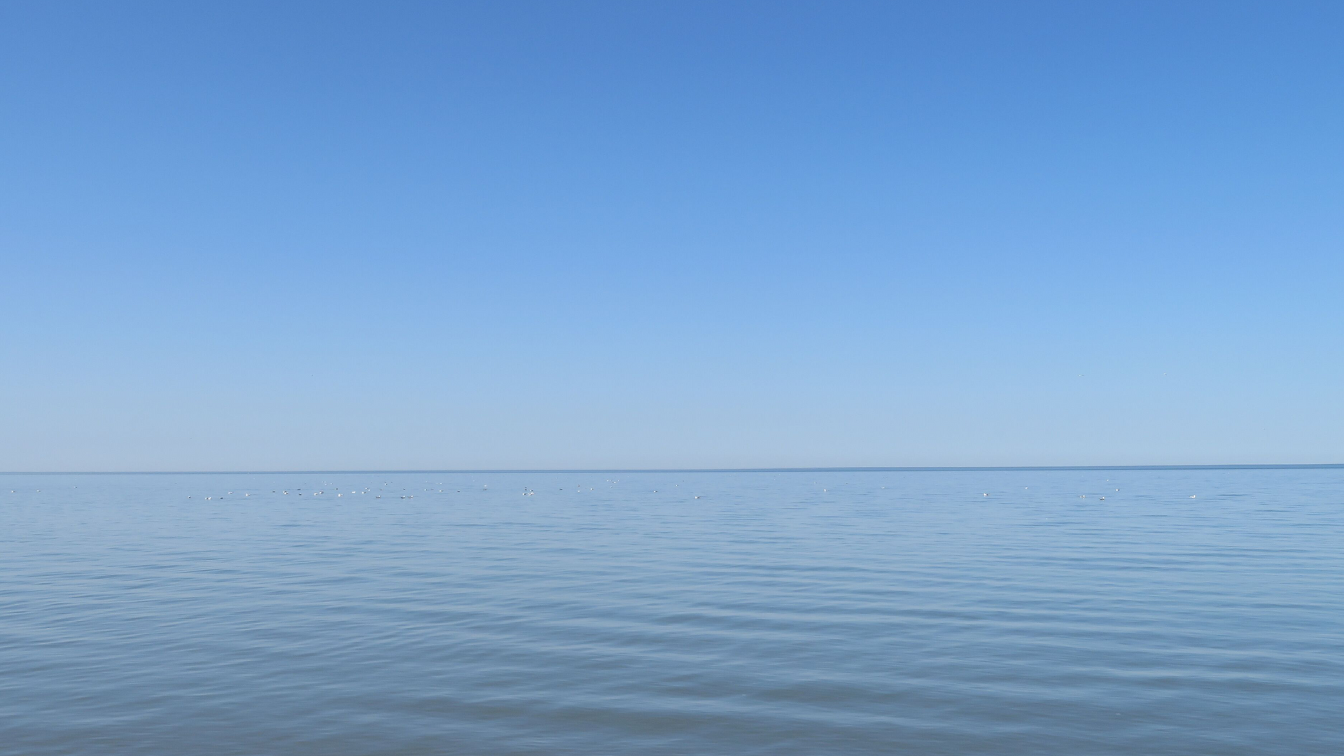 Calm blue ocean under a clear sky with a straight horizon
