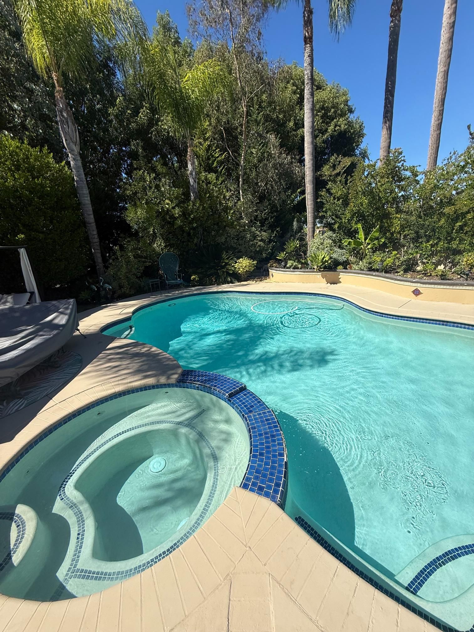 Swimming pool with a connected jacuzzi; blue water, surrounded by trees and a sunny patio.