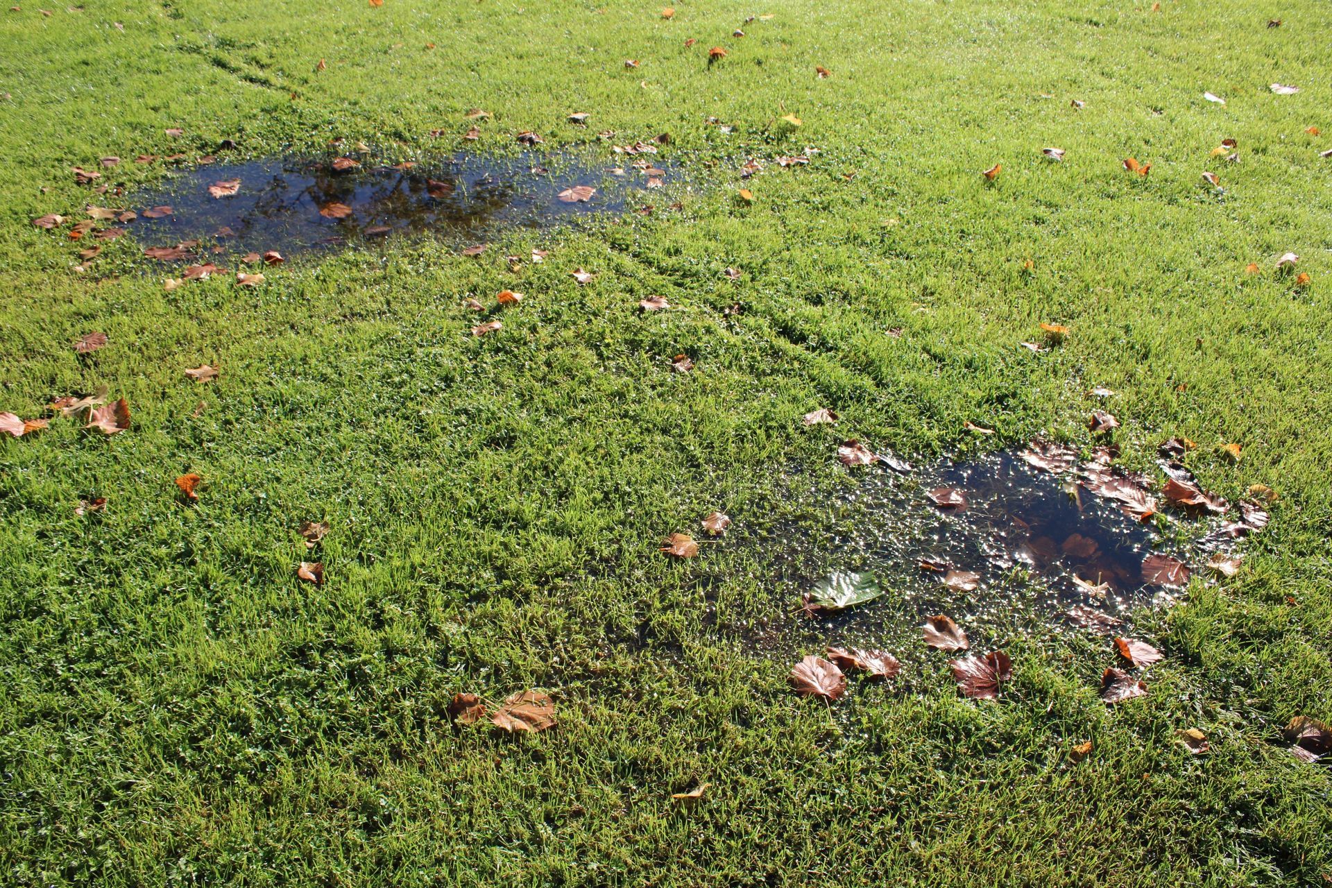 environmental concerns of standing water