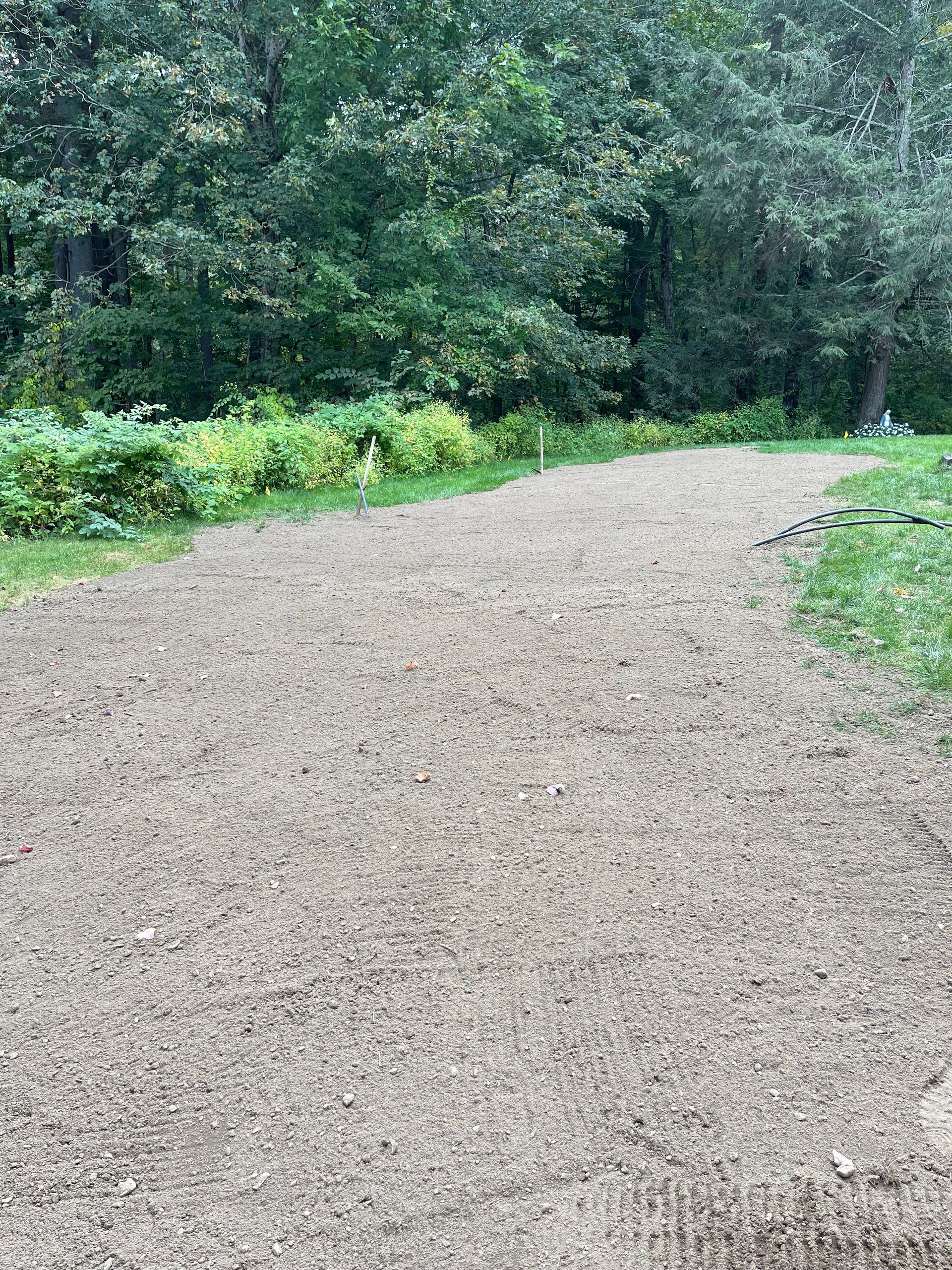 Gravel path curving through a green wooded area with dense trees and shrubs