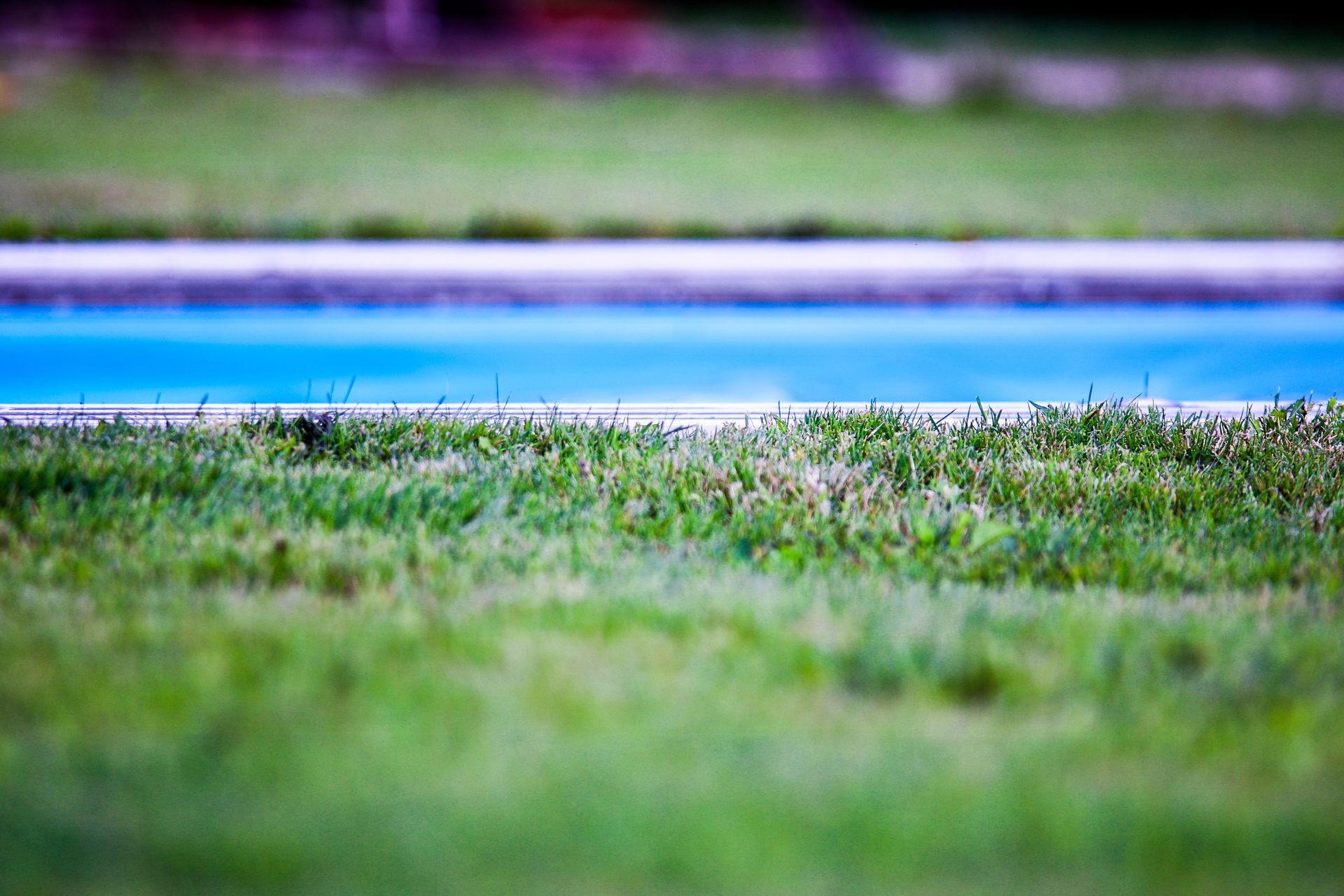 A grassy field in the foreground with a blue road or track and green trees blurred in the background.