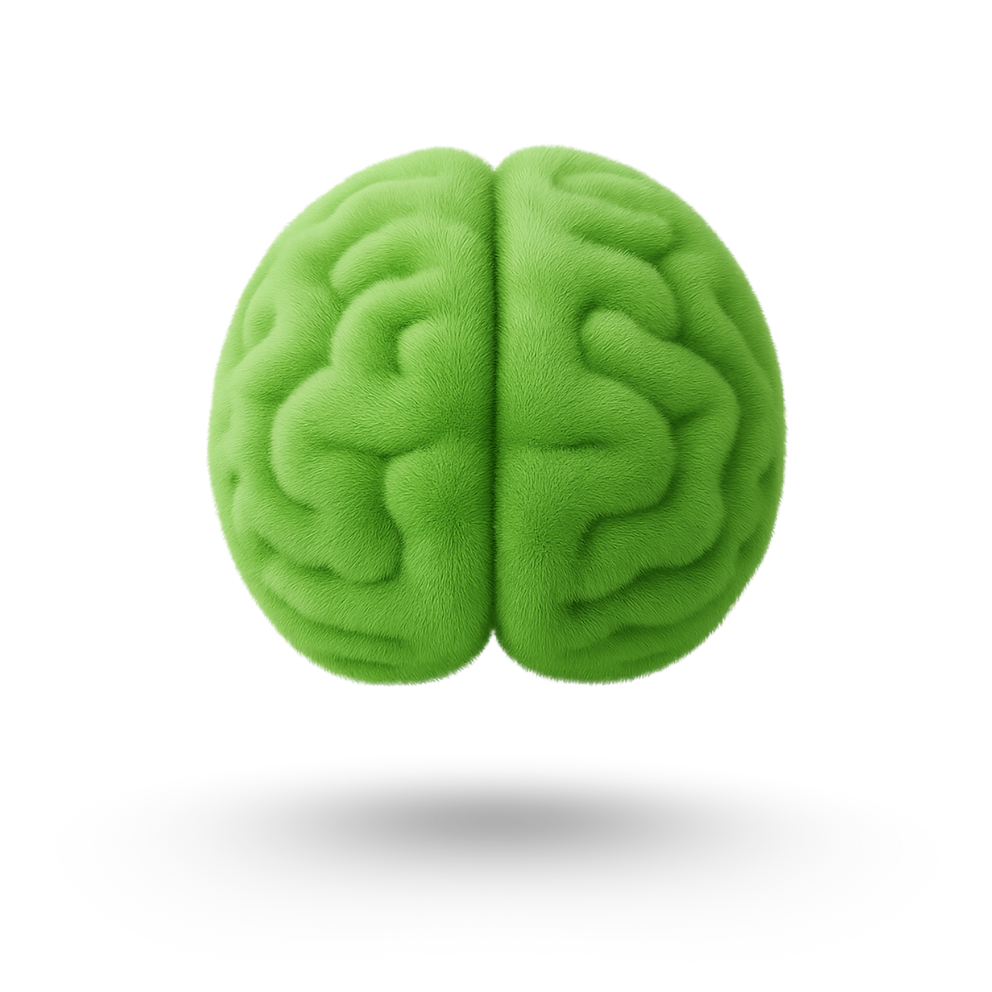 Cervello verde con superficie strutturata, che galleggia su uno sfondo bianco.