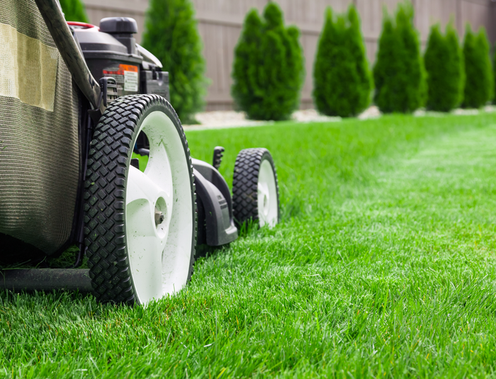 A Lawn Mower