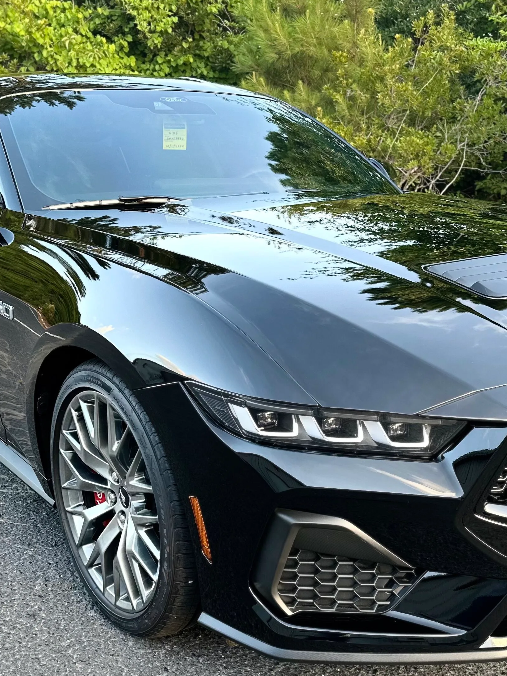 Black sports car parked on a leafy roadside, front view with shiny hood and LED headlights