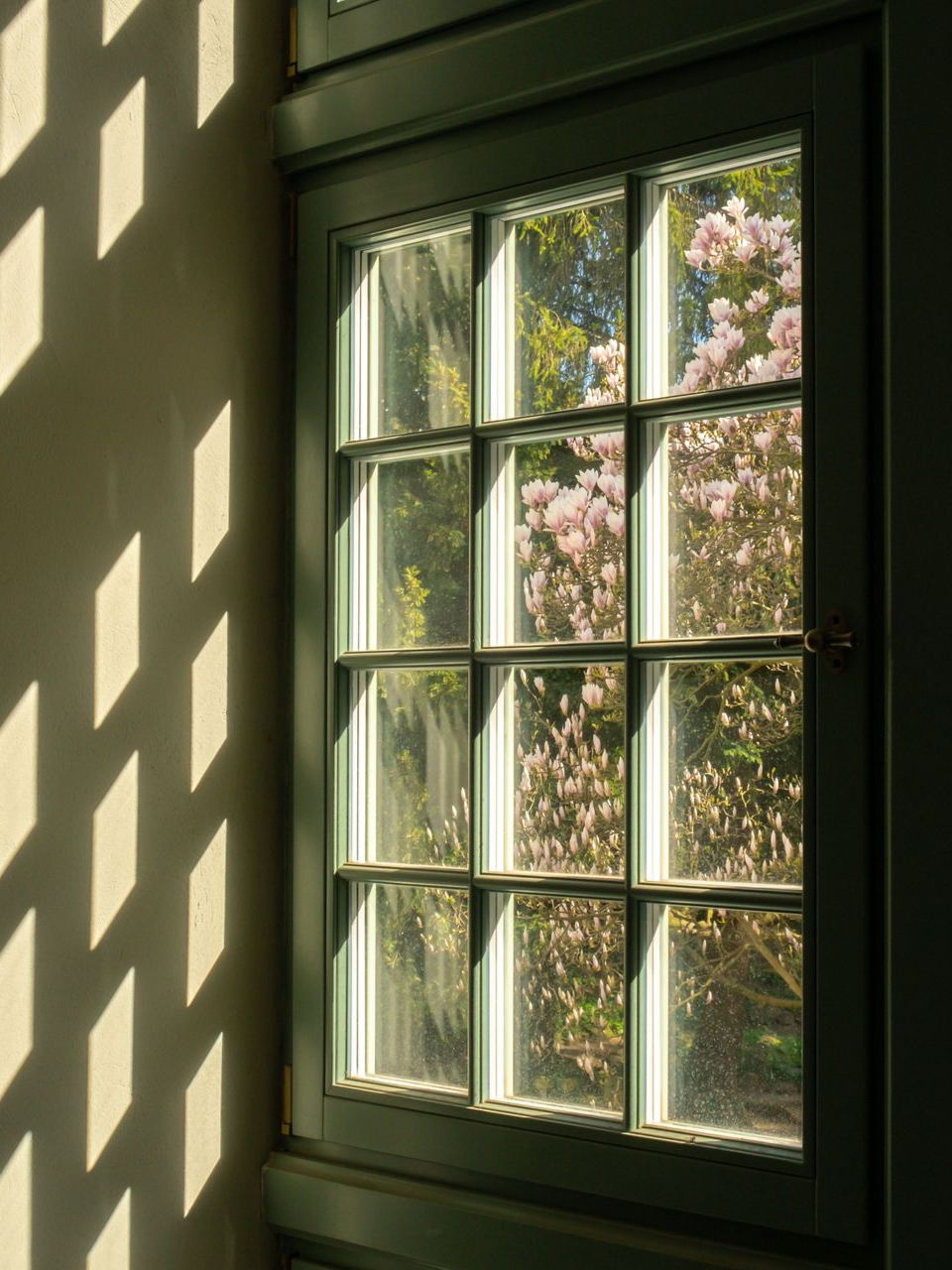 Arm reaching from a window toward a green forest outside, with a watch on the wrist