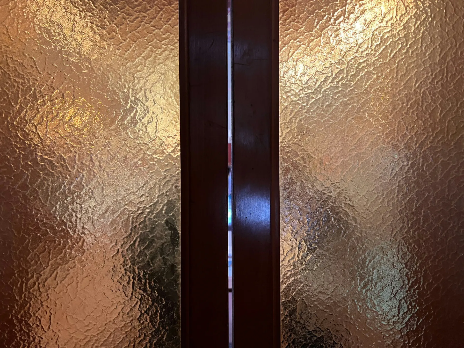 Close-up of frosted glass doors with a dark wooden frame and handle.