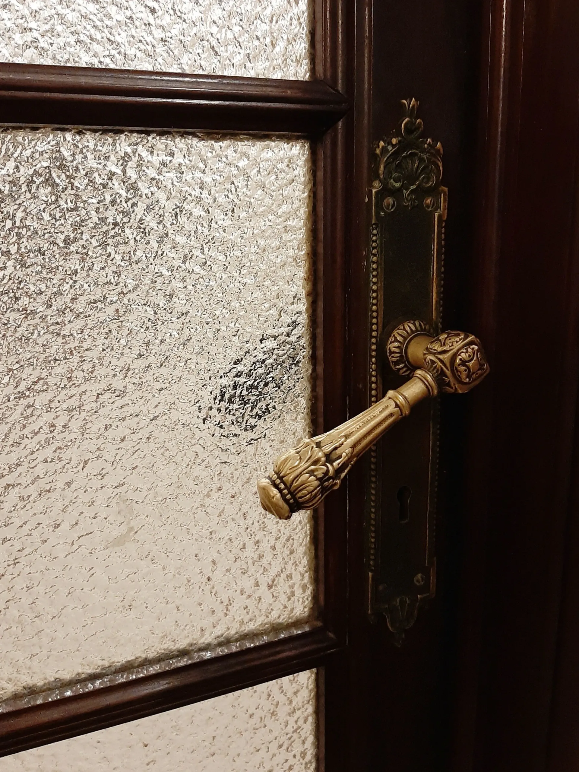Decorative brass door handle on a dark wooden door with frosted glass panels