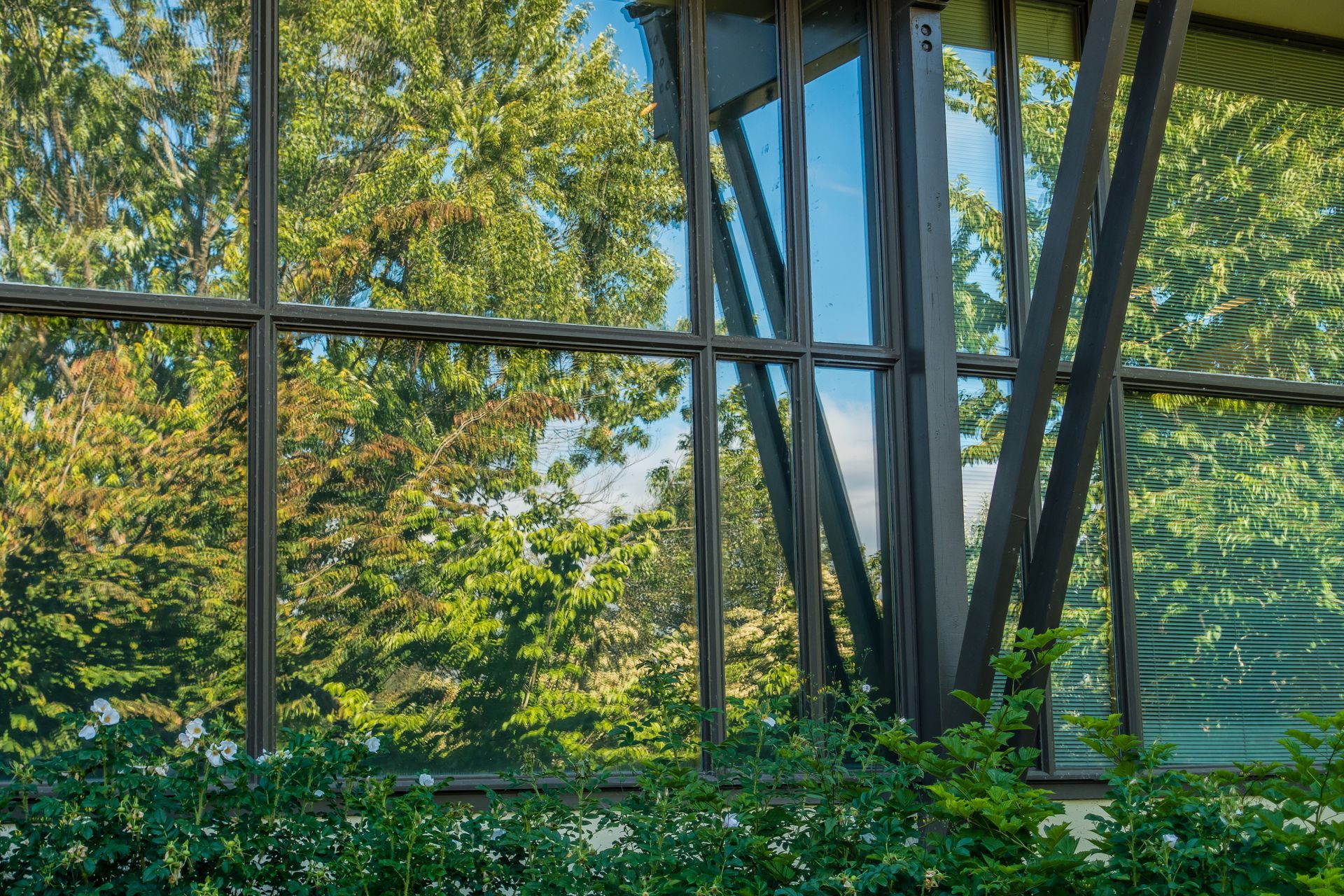 Glass office building reflecting trees and blue sky in bright sunlight