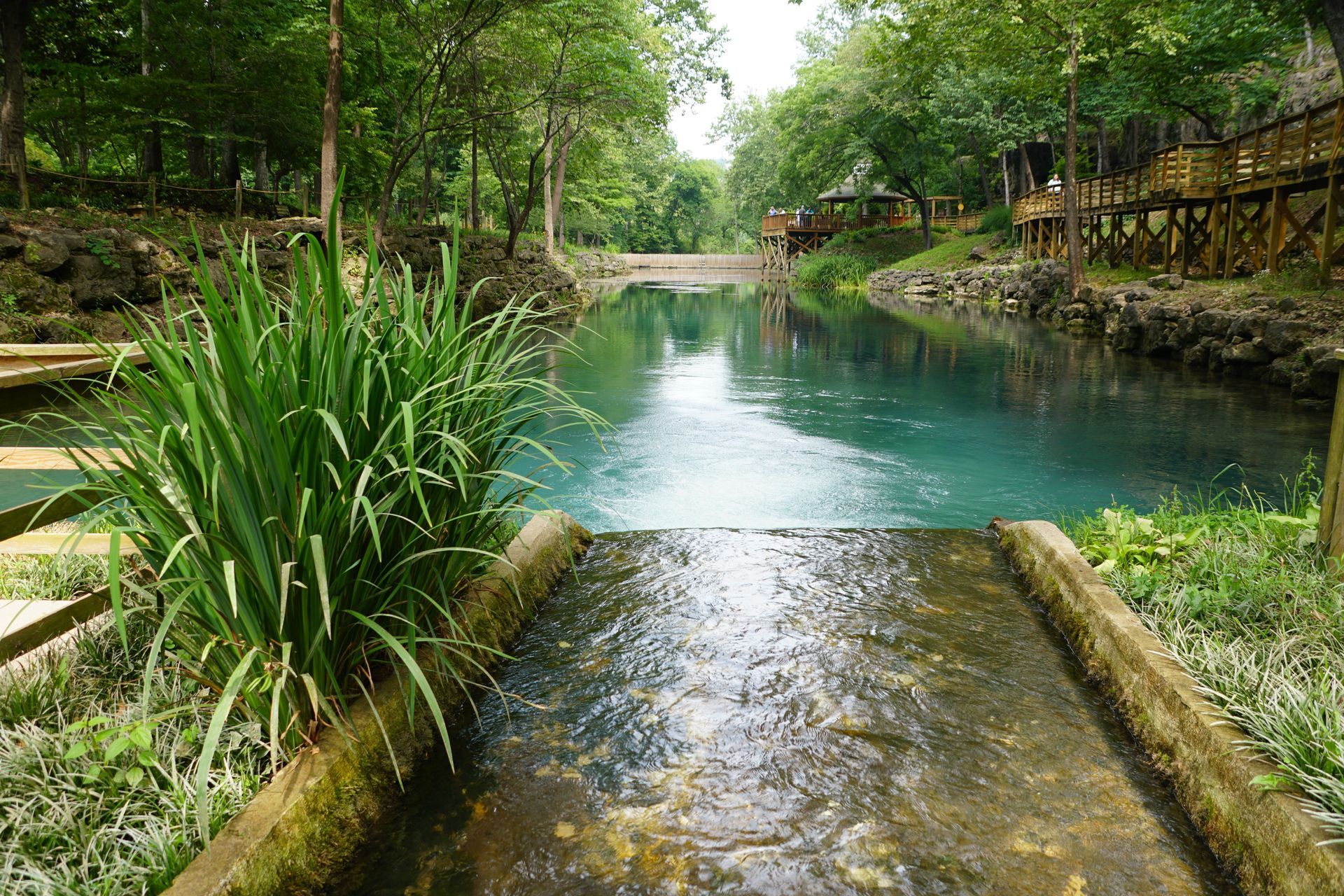 A clear stream with a shallow spillway, bordered by lush green trees and plants in a peaceful park.