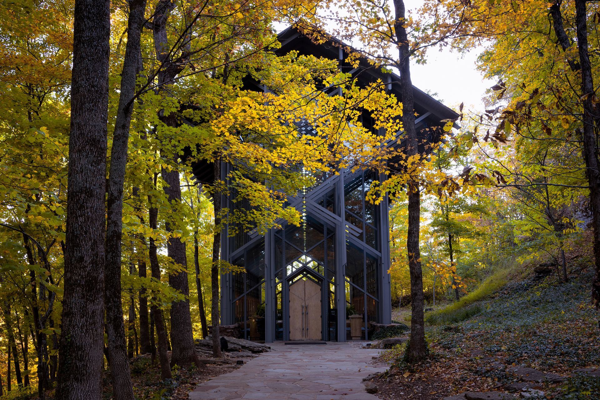 A dark cabin among yellow autumn trees along a wooded path