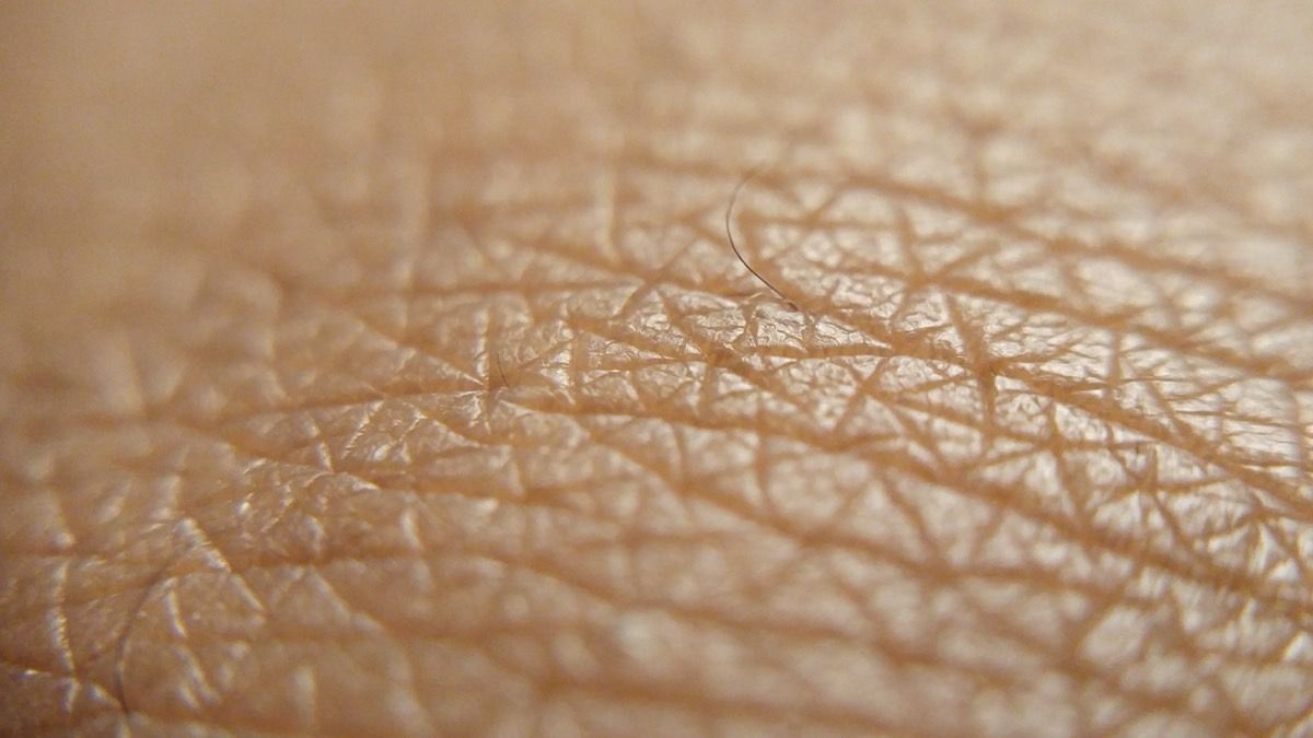 Extreme close-up of human skin showing fine surface lines and a single hair