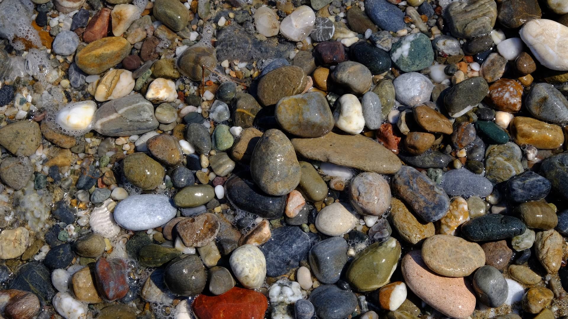 Smooth, wet pebbles of many colors on a beach