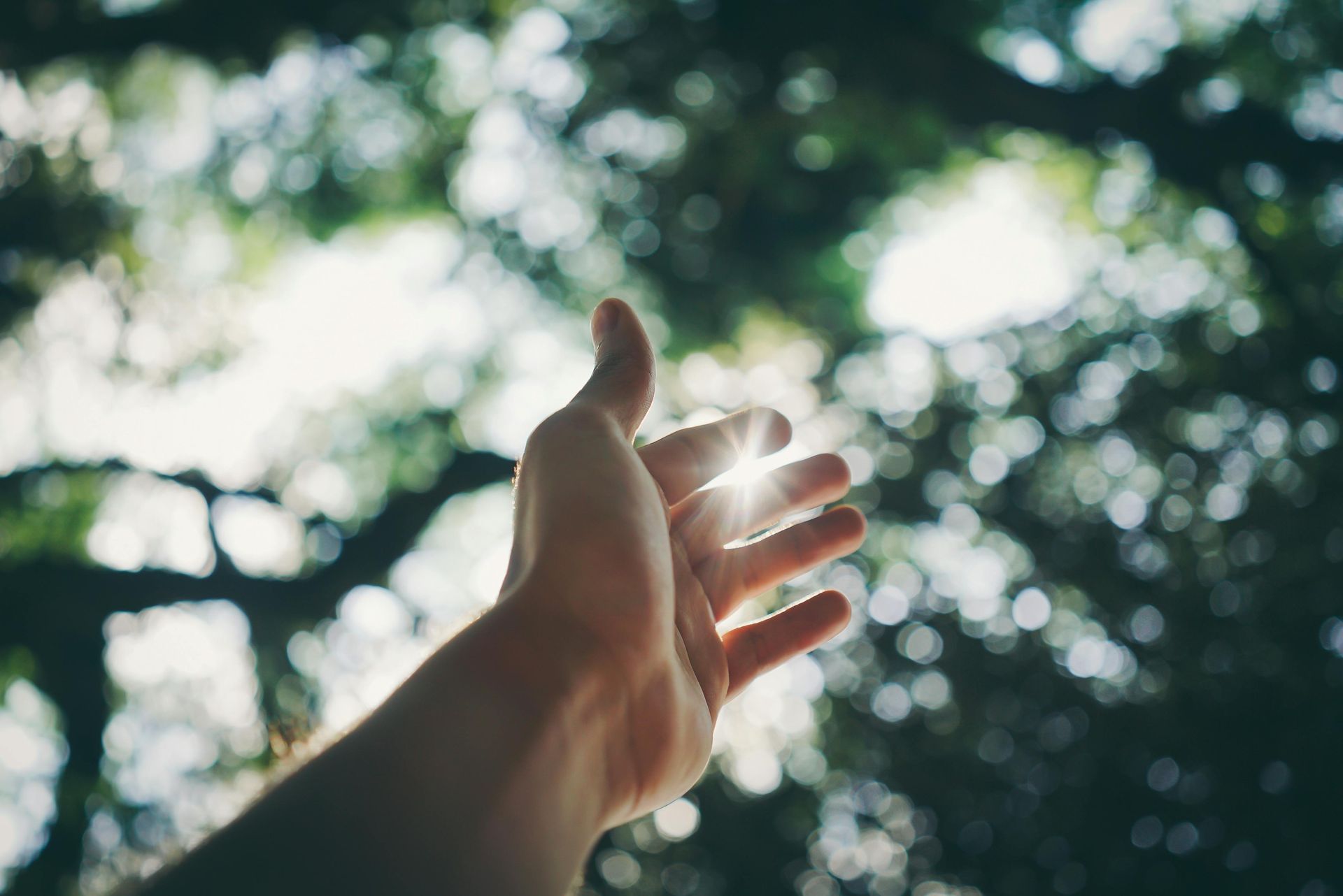 A person is reaching out their hand towards the sun.