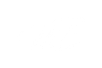 Blank white image with a thin black line near the bottom.