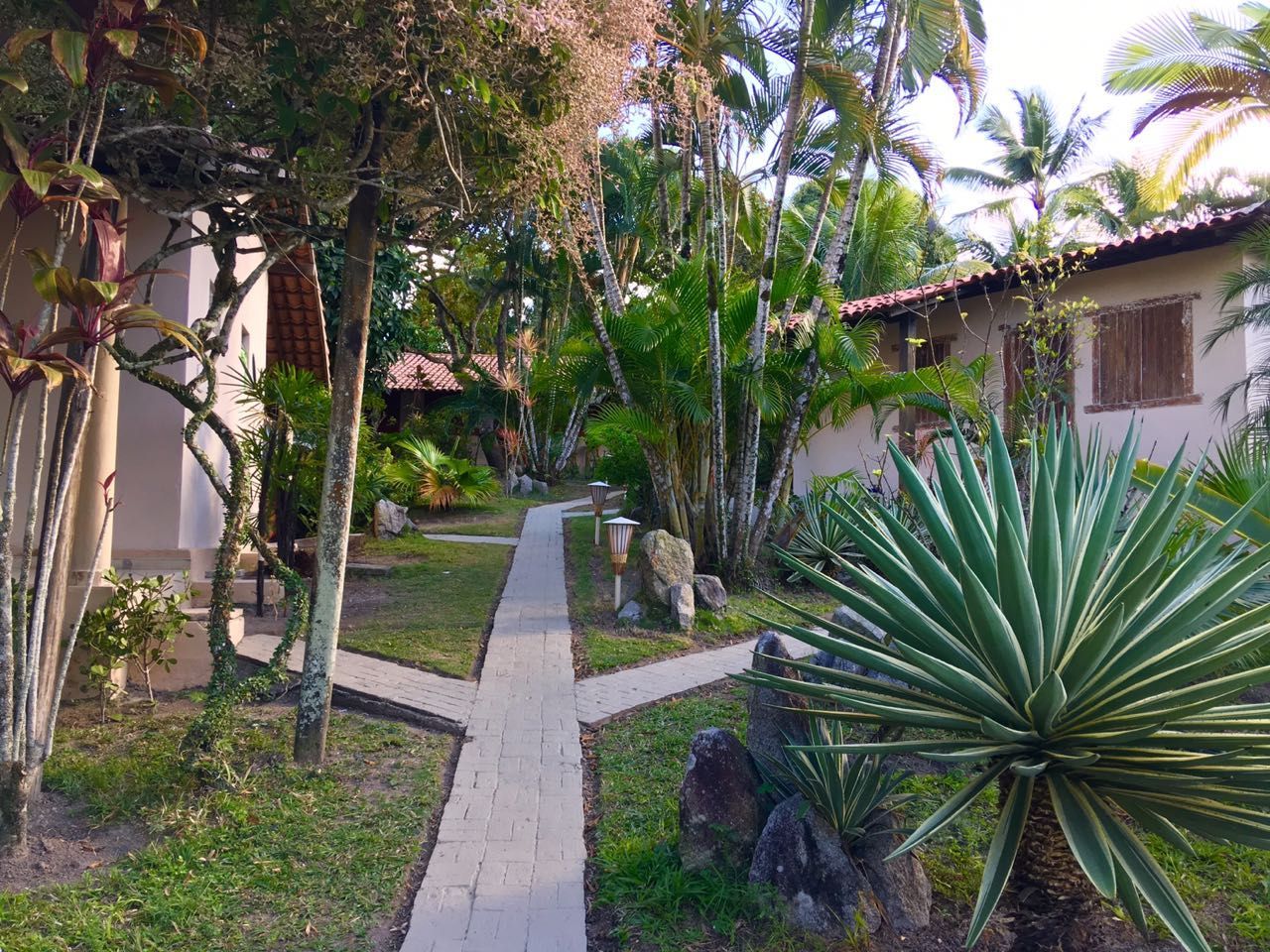 Caminho de jardim tropical entre edifícios de estuque, ladeado por palmeiras e plantas exuberantes.