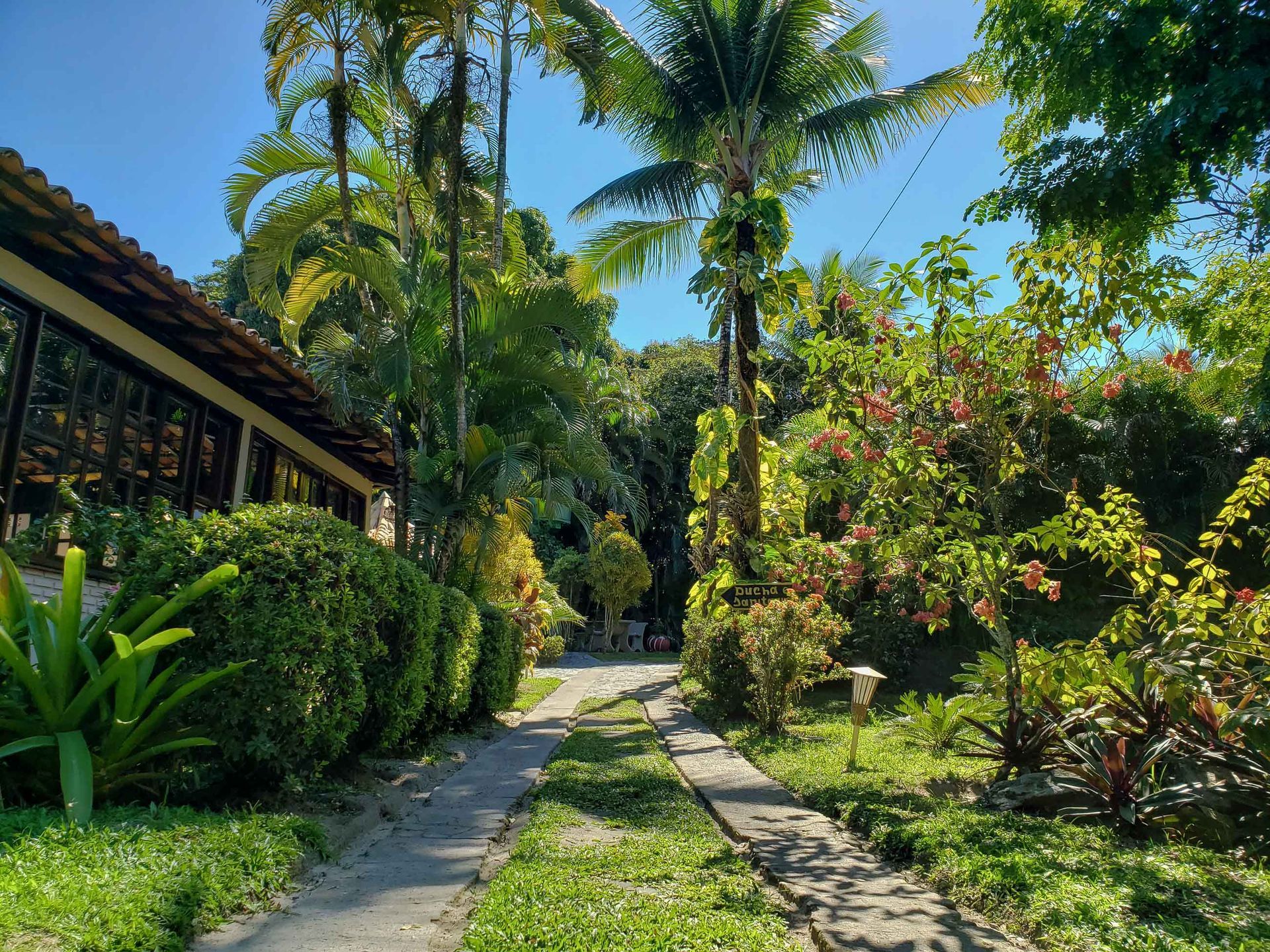 Caminho exuberante em um jardim tropical ao lado de um prédio, com palmeiras, flores e muita luz solar.