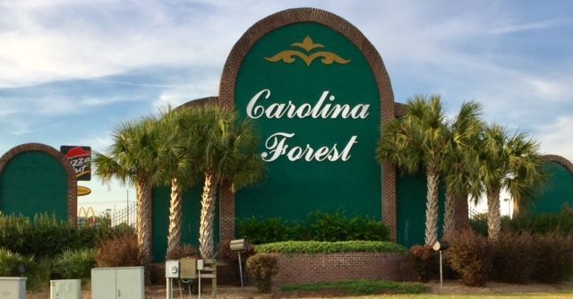 A carolina forest sign with palm trees in front of it