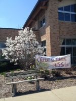 “Christ the King” banner outside a brick building with a blooming white tree and bench