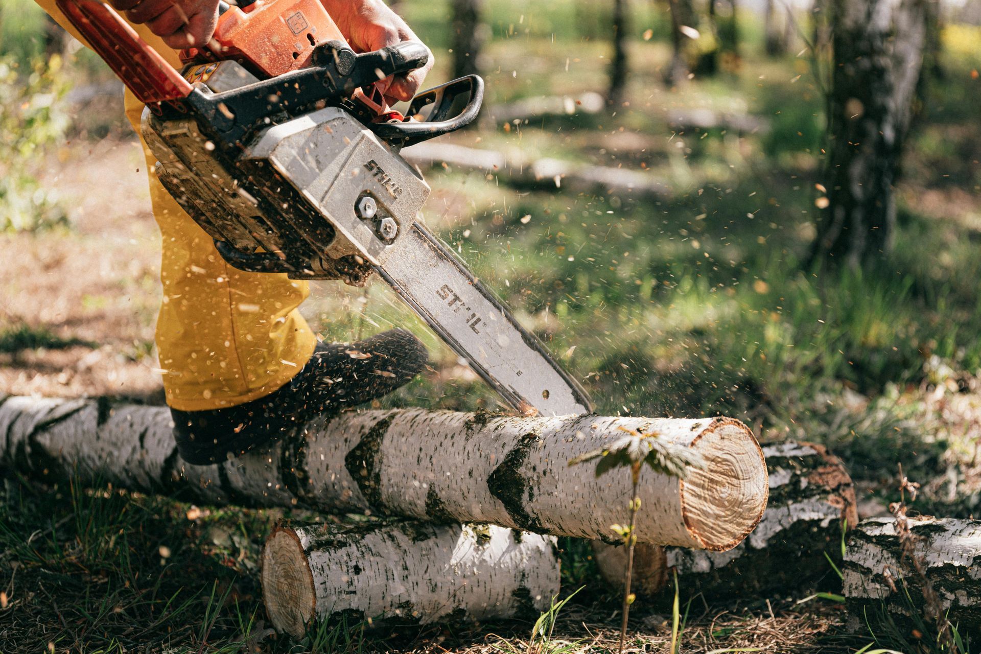 A person is cutting a log with a chainsaw in the woods.