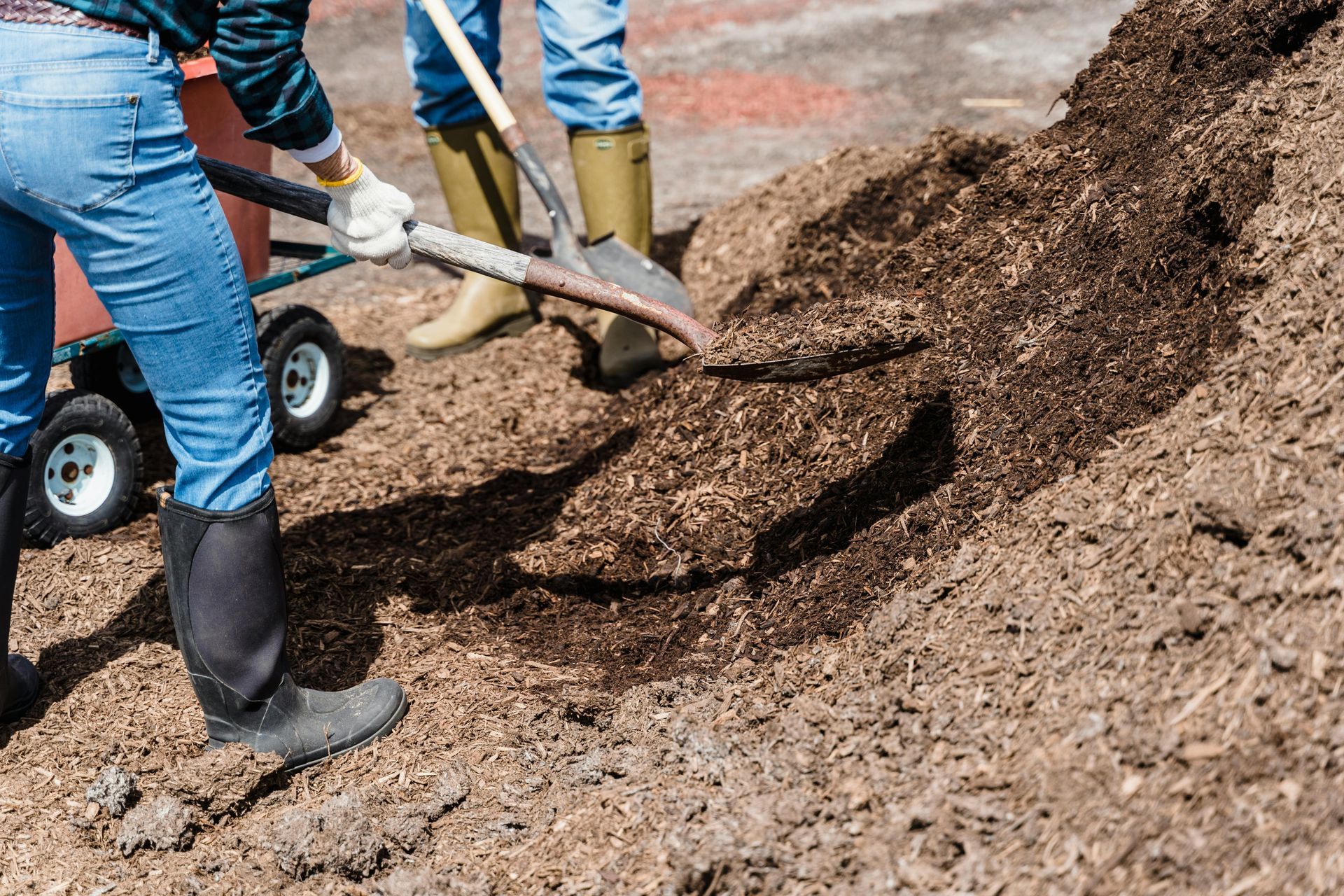 Two people are digging in a pile of dirt with shovels.
