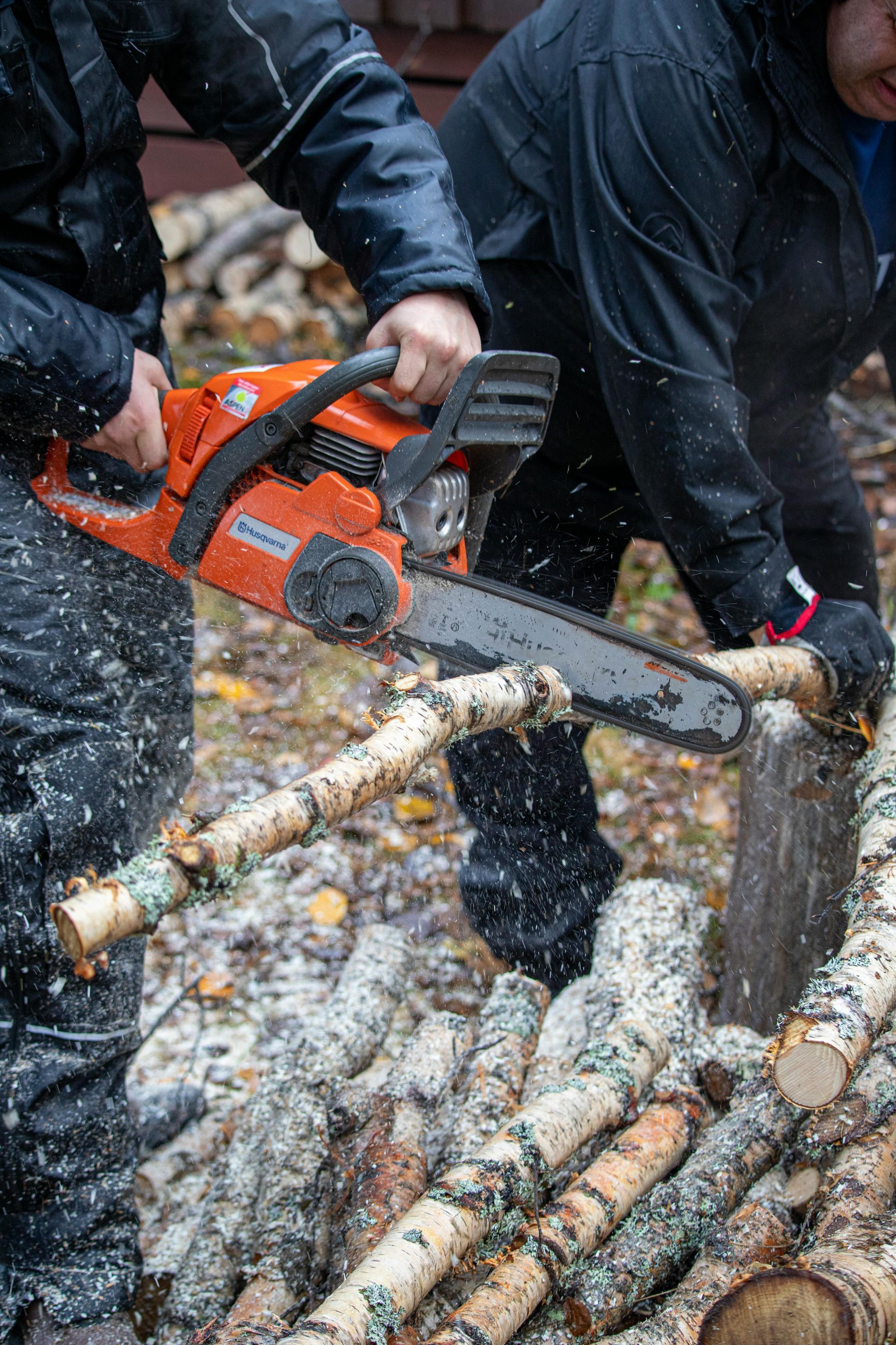 Two men are cutting logs with a chainsaw.